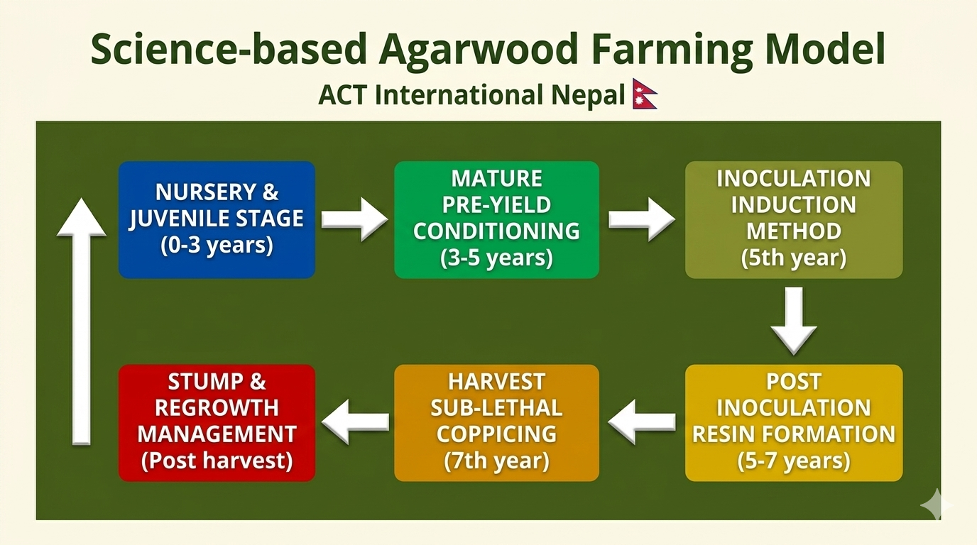 Agarwood Plantation Program image